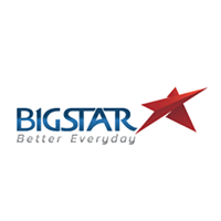 Big Star company logo